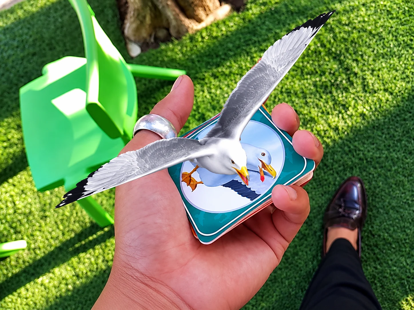 3D Book — Hình ảnh hải âu 3D trong trải nghiệm tương tác