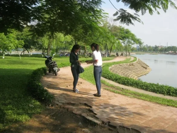 Đại Việt — Phát tờ rơi và tiếp cận trực tiếp