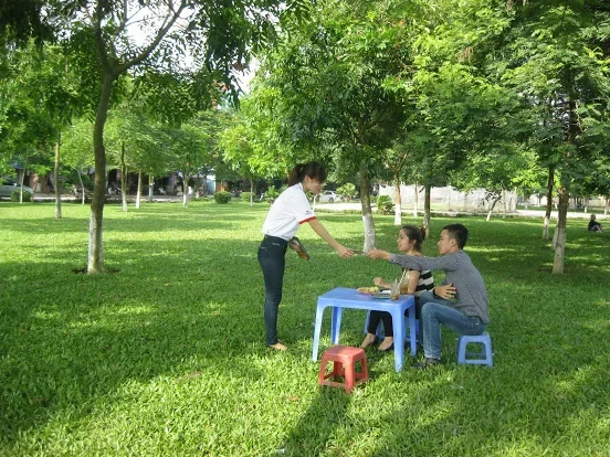 Đại Việt — Phát tờ rơi và tiếp cận trực tiếp