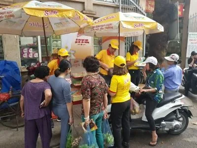 Solite — Sampling và giới thiệu tại chợ