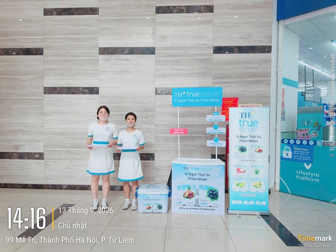 TH true YOGURT — Sampling tại chung cư